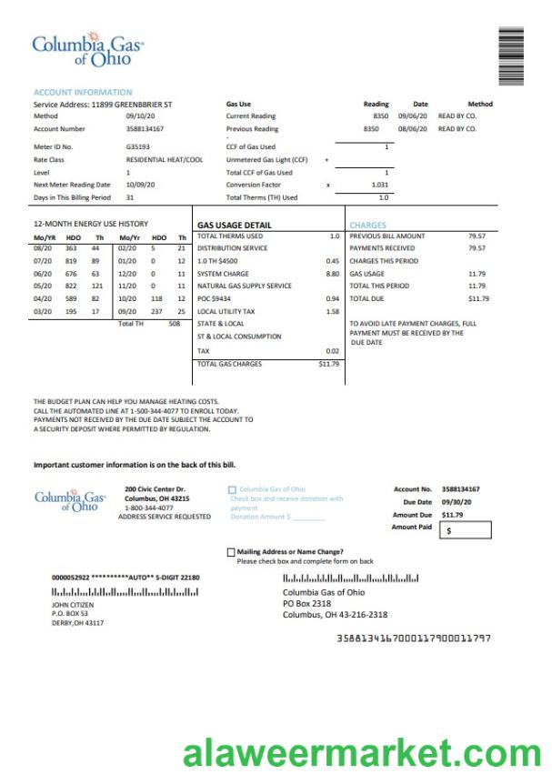 USA Columbia Gas of Ohio utility bill template in Word and PDF format